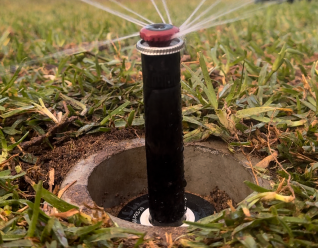 Automated irrigation systems